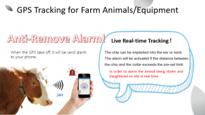 GPS grazing system