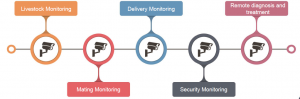 Remote Visual Monitoring System