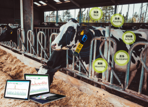 imonitoring IOT based cow health monitoring system